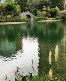 四海公园12