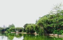 四海公园20
