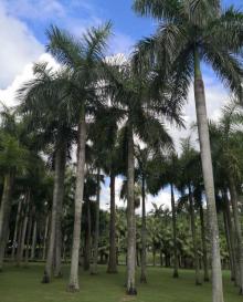 海滨公园17