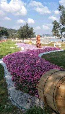 唐家湾沙滩10