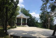 塘朗山郊野公园14
