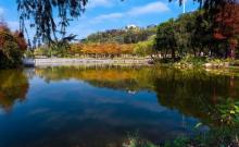 松岗公园5