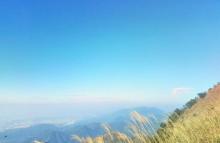 银瓶山森林公园5