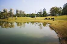 香蜜公园20