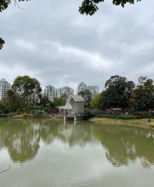 香蜜公园7