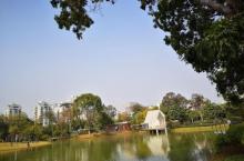 香蜜公园23