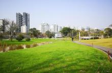 香蜜公园21