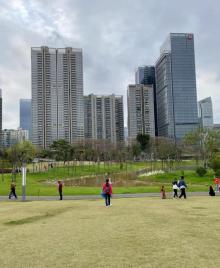 香蜜公园8