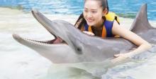 长隆横琴湾水世界12