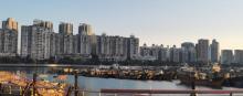 蛇口渔港7