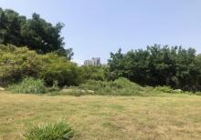 坪山公园2