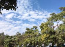 龙城公园2