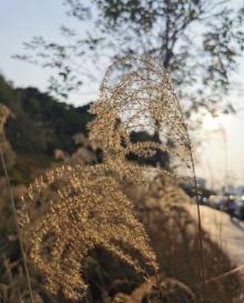 光明滑草游乐园4