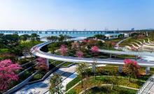 滨海文化公园1