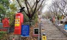 碧海湾公园3