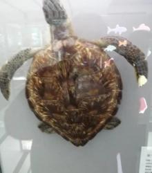 蛇口海洋科普馆3