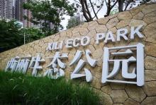 西丽生态公园18
