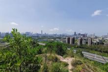 西丽生态公园30