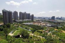 西丽生态公园28