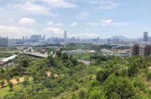 西丽生态公园21