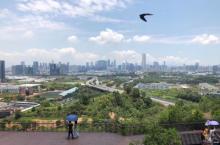 西丽生态公园24