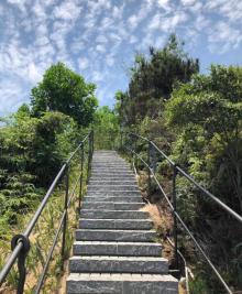 西丽生态公园20