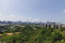 西丽生态公园25