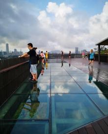 西丽生态公园15