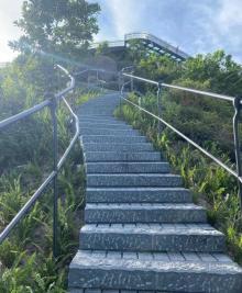 西丽生态公园9