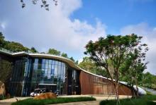 西丽生态公园11