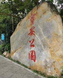 宝安公园2