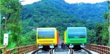 丛林缆车3