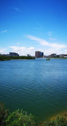 立新湖公园25