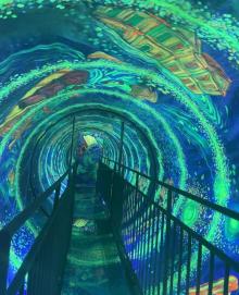 珠海画游梵高沉浸式艺术馆14
