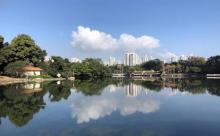 荔枝公园17