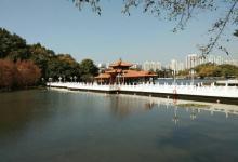荔枝公园23