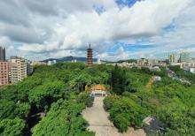 龙华公园1