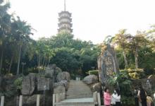 龙华公园3