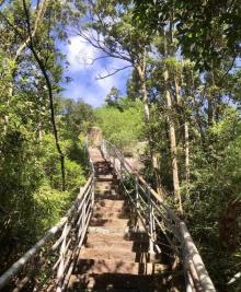 园山风景区10