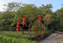 红花山公园9
