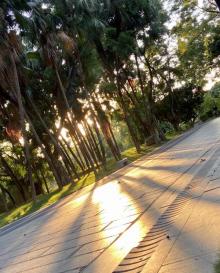 红花山公园14