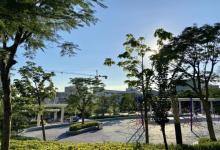 红花山公园17
