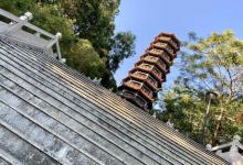 红花山公园15