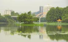 洪湖公园16