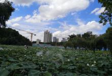 洪湖公园30
