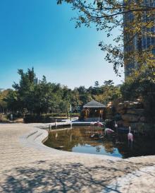 深圳市儿童乐园9