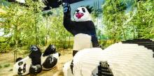 大梦探索乐园14