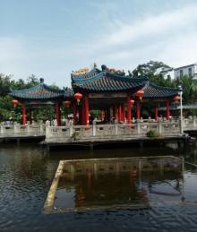 龙园19