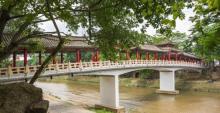 龙园9