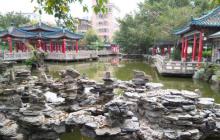 龙园13